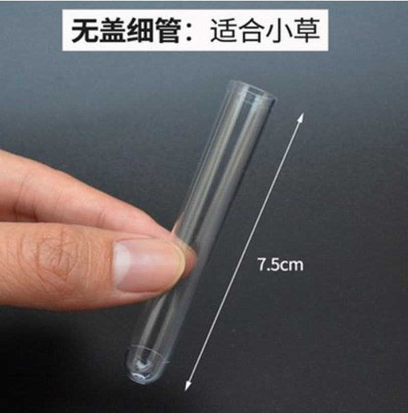 冬虫夏草试管子虫草管单只包装瓶新鲜虫草五连管真空瓶5排管塑料