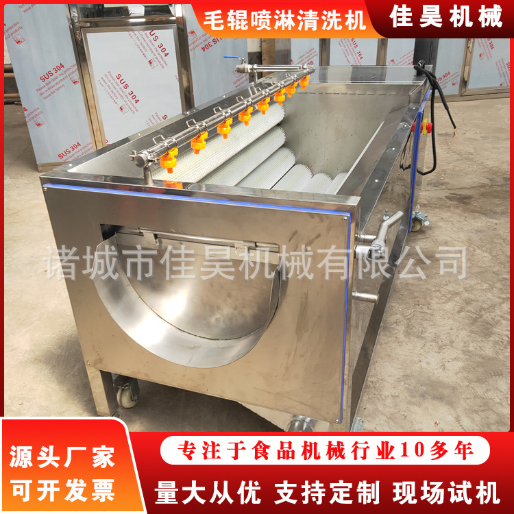 土豆红薯去皮机 海蛎子清洗机 全自动果蔬毛刷清洗机