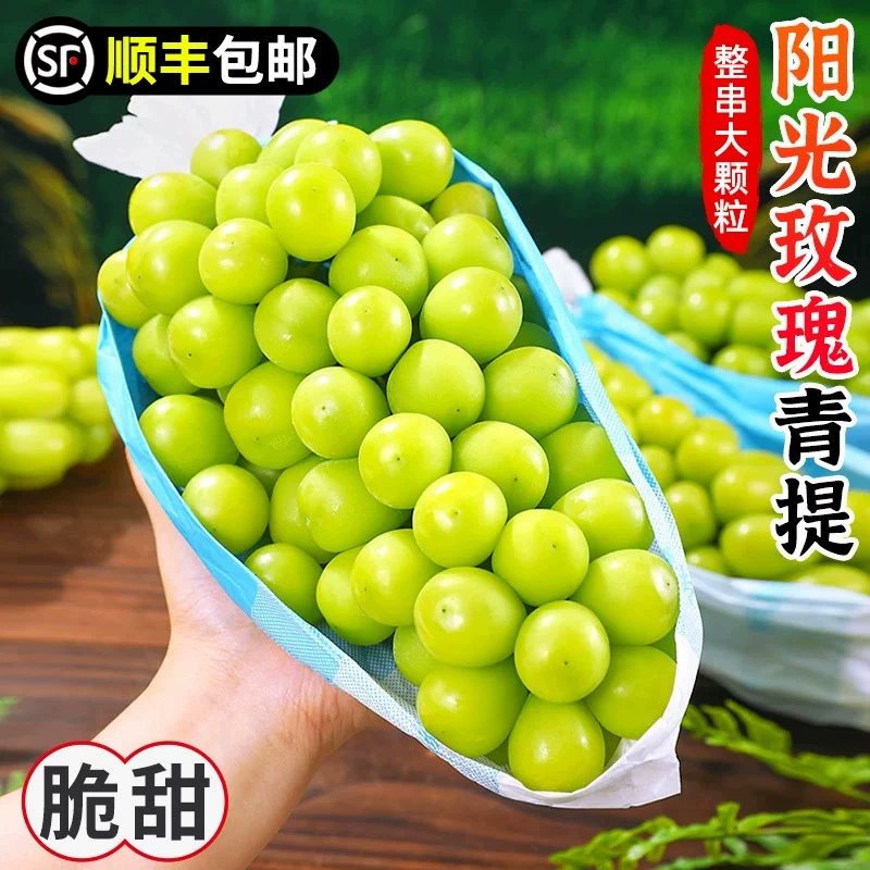 Sunshine Rose Grape 2.5kg Qingwang Grape Свежий виноград без косточек Ароматные зеленые фрукты Свежая сезонная целая коробка