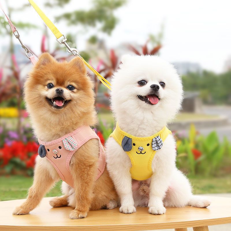 Liquidación perro gato fuera cuerda de tracción correa de pecho perro caminando collar ropa para mascotas suministros al por mayor