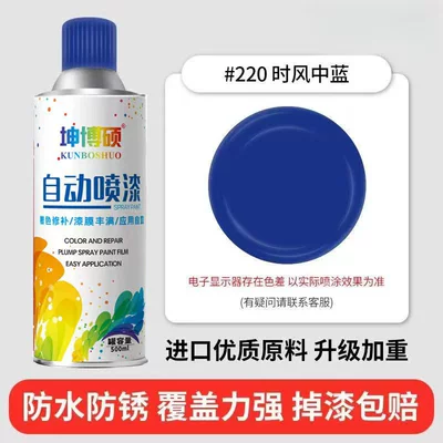 Spray Paint Can Anti-Rust Paint Furniture | Avtomobil boya qələmləri - 1can-self-painting-220-blue-in-the-wind