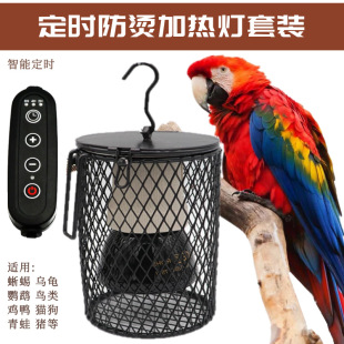 Timed Pet Parrot Ceramic Heating Lamp Birds Tortoise Reptile Honey Bag Shrew Warm Lamp Anti-scalding Heat Preservation Lampshade
