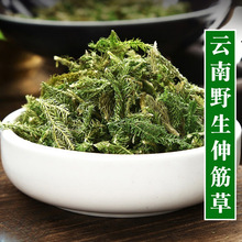 ���Ұ������500g��ș���ݾ������ݮ�����؛���_ ���� ͸�ǲ�