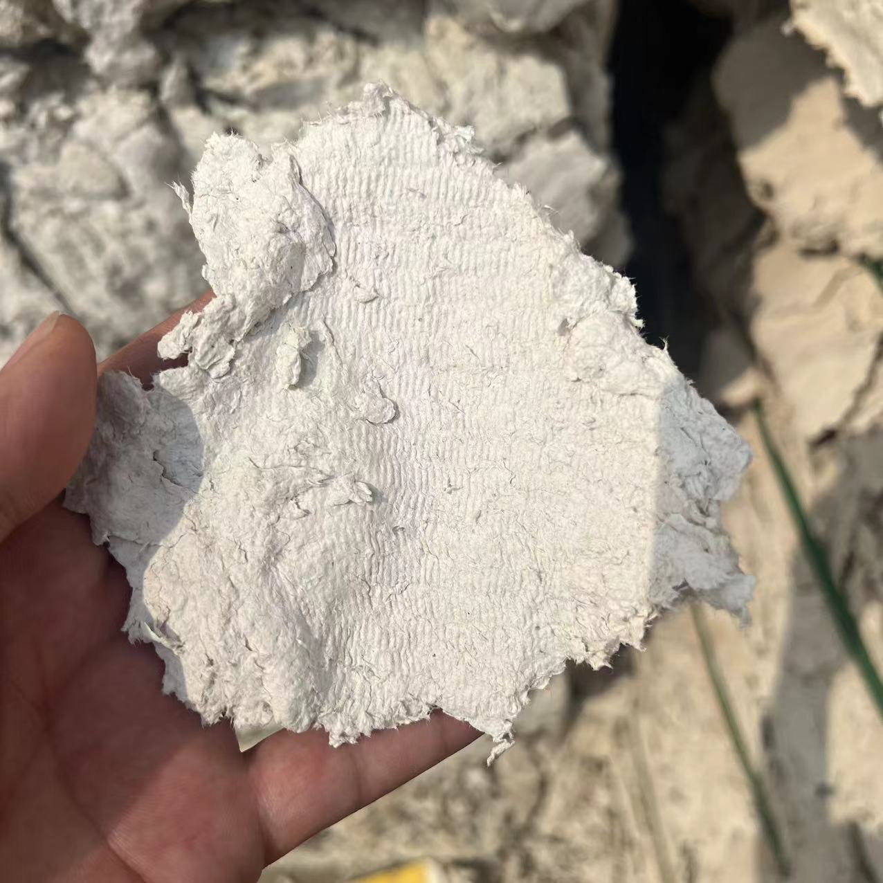 微信图片_20240409202906