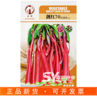 �����n�t70�t��̦�N��70�������쿹���ͺ��ϼt��������~�o�~��̦