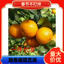 �ڰ��������۴�Ƥ��۸̘��玧���̨������ļ�С��̽����ӹ���