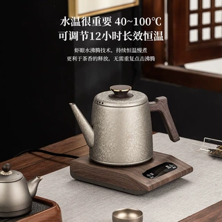 纯钛上水电茶壶泡茶专用高低水位家用恒温煮茶烧水自动冰花电茶炉