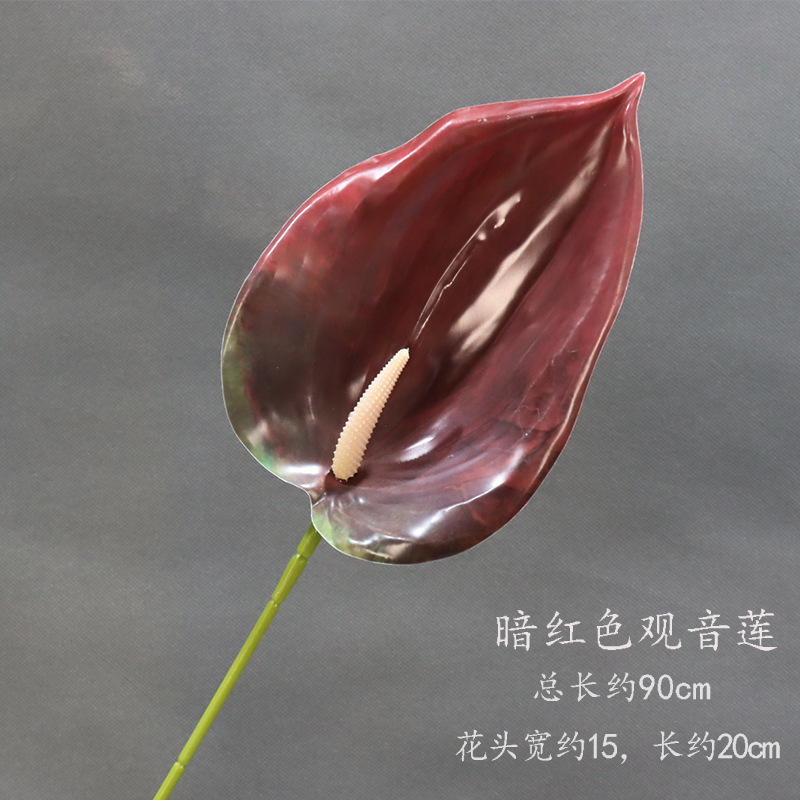 진한 빨간색 관음 연꽃