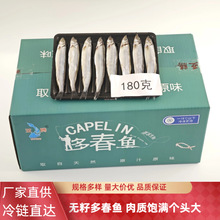 多春鱼满籽速冻海鲜水产新鲜烧烤油炸商用冷冻多籽鱼带籽多春鱼