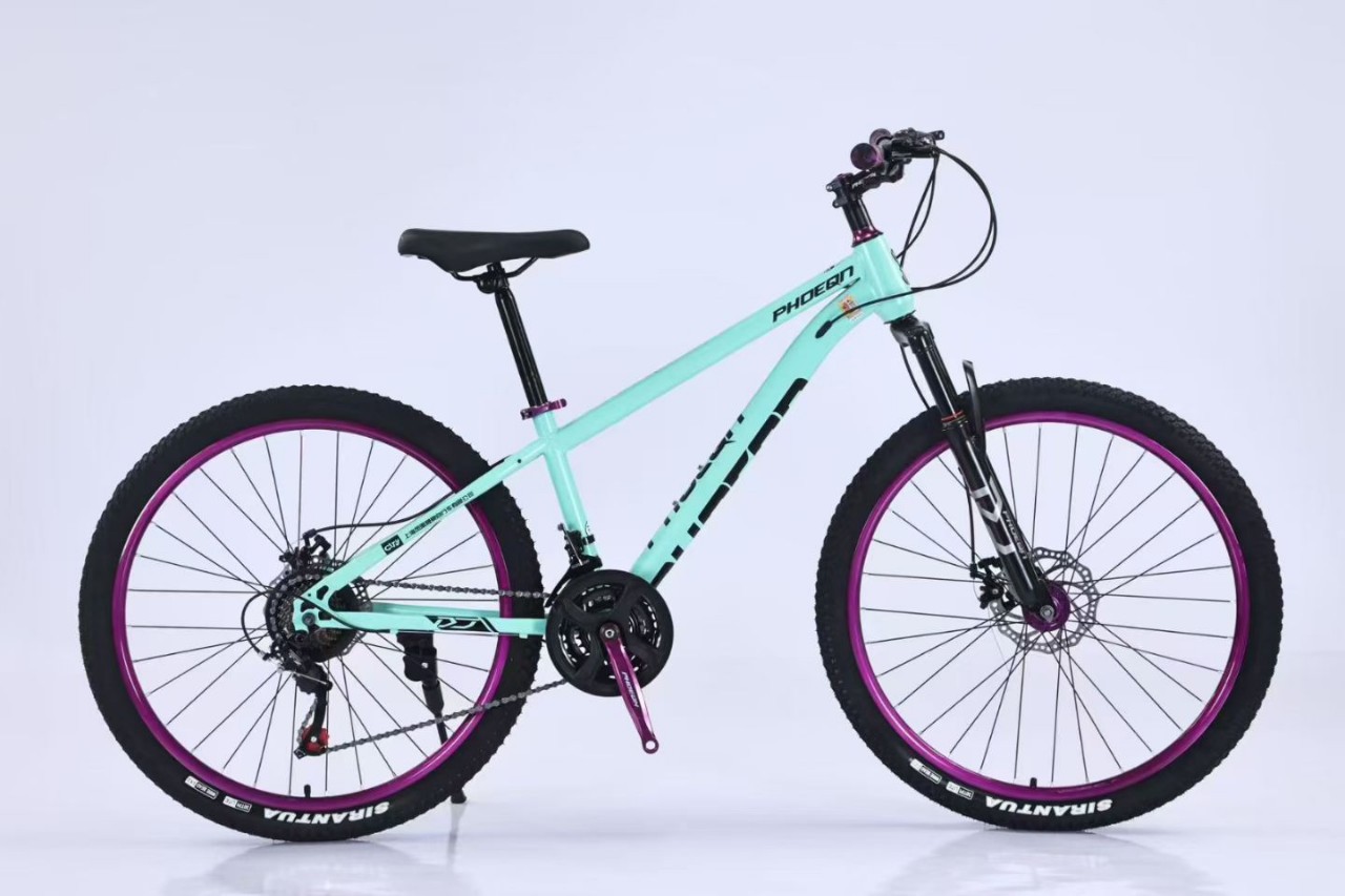Fábrica de cabello recto, 26 pulgadas, bicicleta de montaña, 21 velocidades, coches de montaña para estudiantes de sexo masculino y femenino.