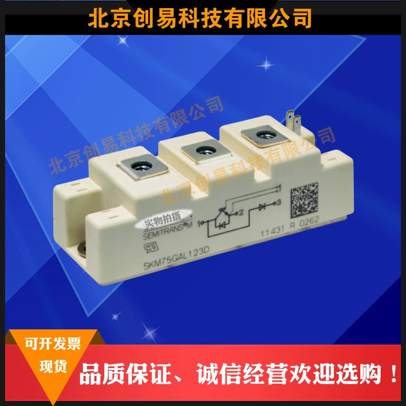 SKM75GAL12T4 SKM75GAL123D SKM75GAL124D SKM75GAL128D/75GAL12V
