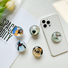 Cute penguin puppy cat mobile phone airbag holder back sticker retractable and stable desktop Korean ins style niche