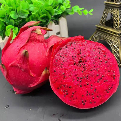 pitaya wholesale Hainan Waldo Number one Large Red fresh Red meat Full container Trade price 2/3/5 Jin