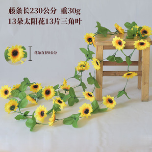 ���l̫ꖻ��ٗl���տ����ٿ��{ˮ�ܵ��b�ˮ�����̈�����b�Y