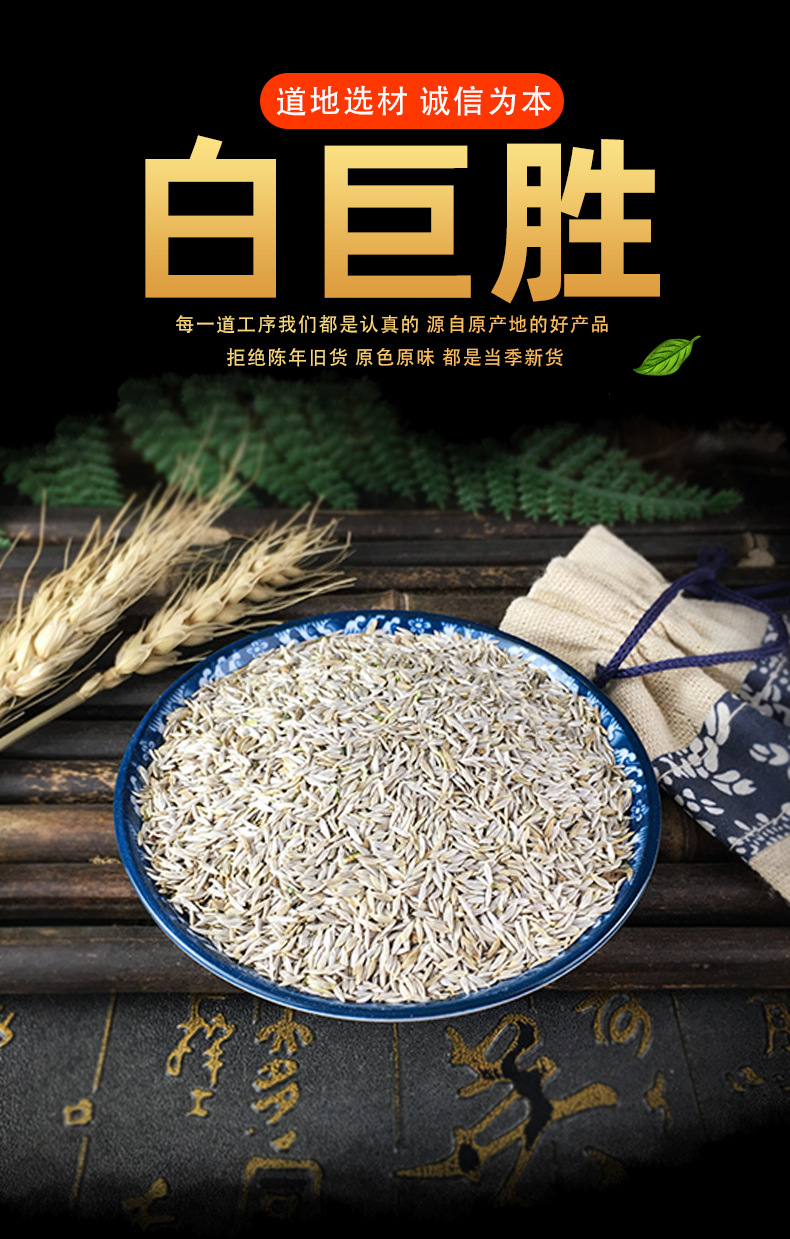 White Lettuce Seed Bai Ju Sheng 白巨胜 Dried Culinary Herb Seeds Cleaned Raw Botanical key features