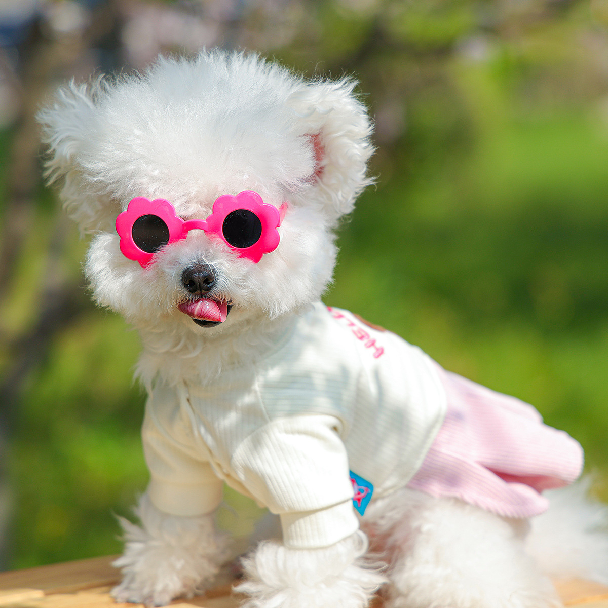 Gfas de sol para mascotas en verano, accesorios para perros pequeños, gafas de sol para mascotas lindas y guapos