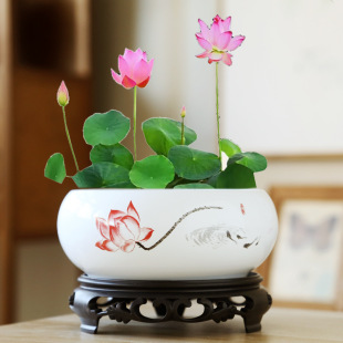 ˮ�໨���մ��~�X��˯ɏˮɏ����̎����}�o��ˮ�ɾW�t������A��