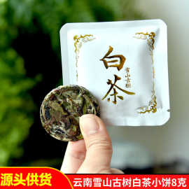 大雪山古树白茶8克小茶饼云南白茶饼茶香甜耐泡老白茶茶叶批发