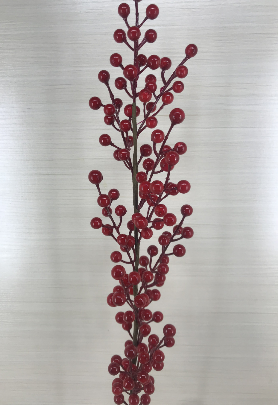 11叉发财红浆果