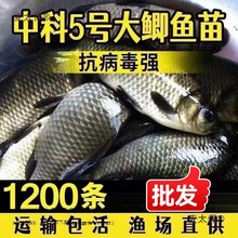 �����пƵ�ˮ�~�繤����̖�a�a�~���w���~�Bֳ���a����a�~��̫��