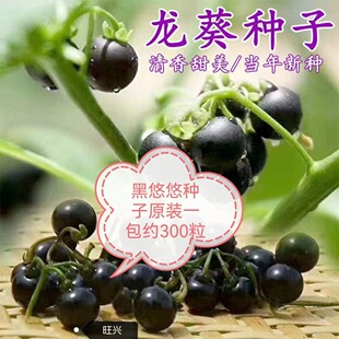 �����������N�Ӻ�������N���Sɫ���ļ��̨����ˮ��Ұ���N��