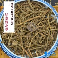 250克 药材 珍珠露水草（鸡冠参 蚌花草 换肺草 露水草）产地云南