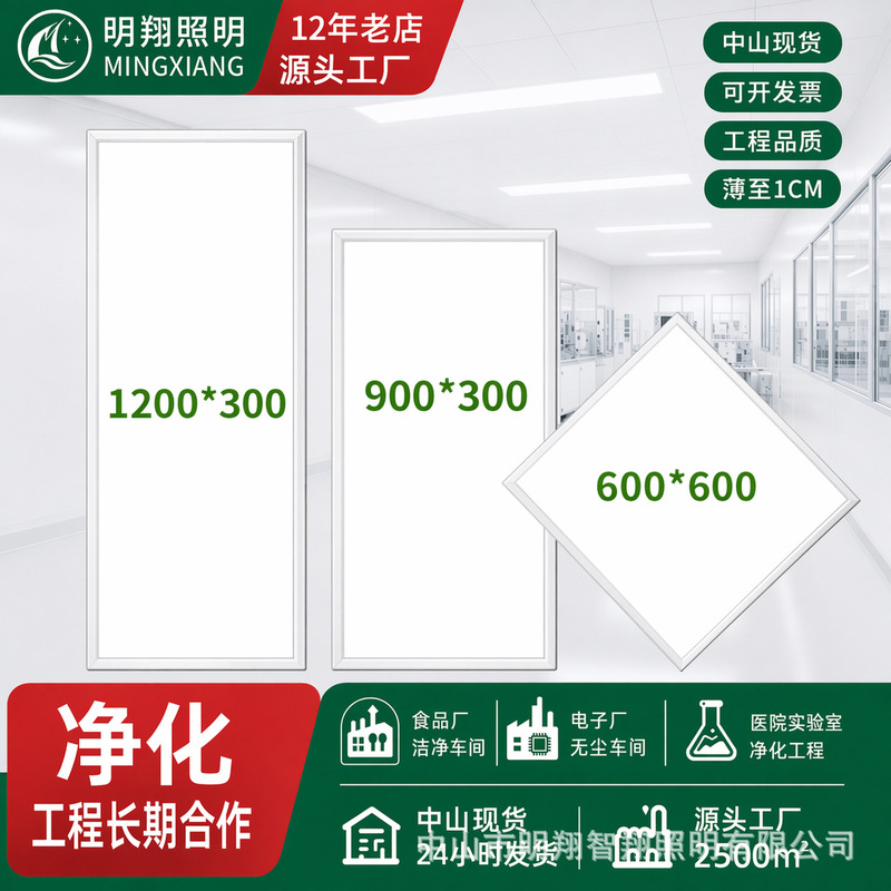 Flat Panel Purification Lamp Led Ultra-Thin 3001200 Dust-Free Workshop Operating Room Hospital Surface-Mounted 48W Airtight Clean Room Lamp