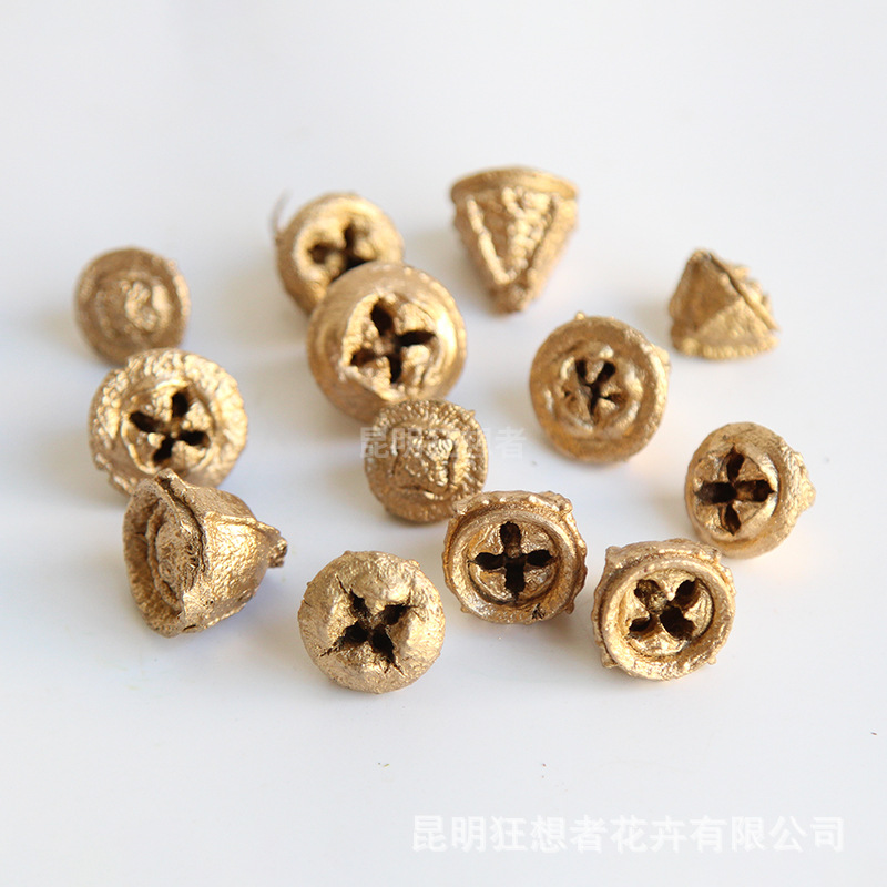 Bạch đàn Big Bud Golden (túi 20g, khoảng 12 miếng)