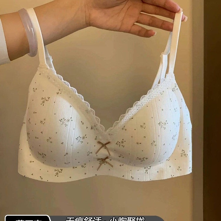 Underwear for Women, Student Style, College, Small Bust, Push-Up, for Teenagers, Junior High School Girls, High School Girls, Bra, 2025 New Model