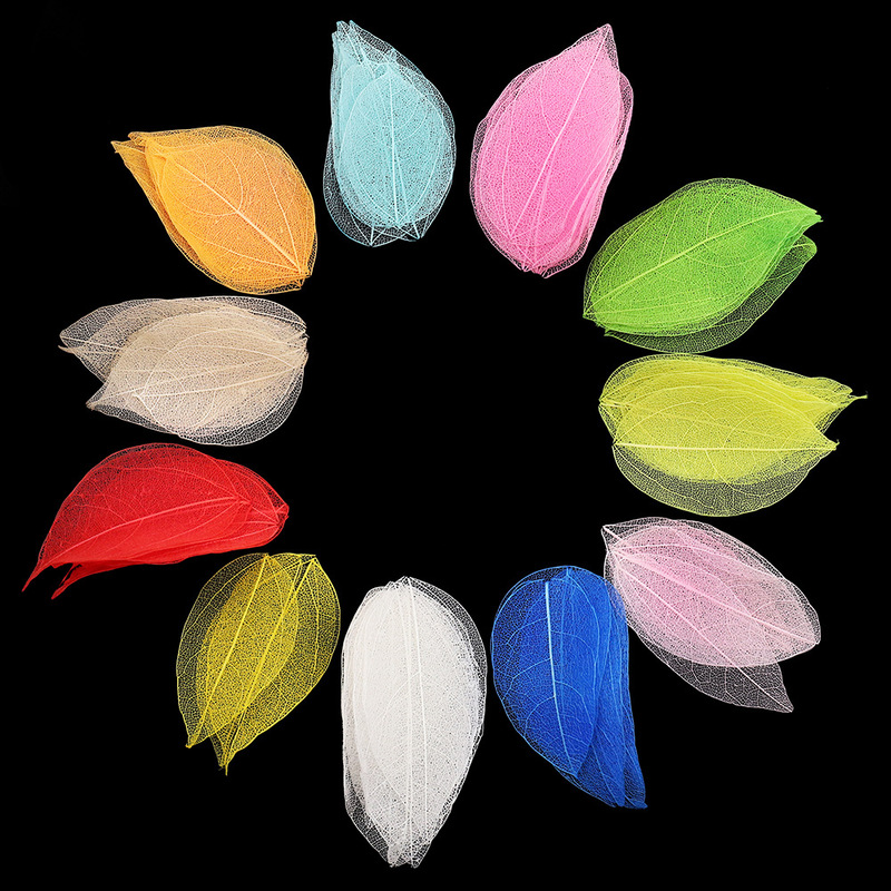 Natural Diamond Leaf Veins and Leaves Pressed Flowers for Decoration DIY Resin Dried Flowers Handmade Materials for Making Jewelry Accessories Natural Diamond Leaf Veins and Leaves Pressed Flowers for Decoration DIY Resin Dried Flowers Handmade Materials for Making Jewelry Accessories