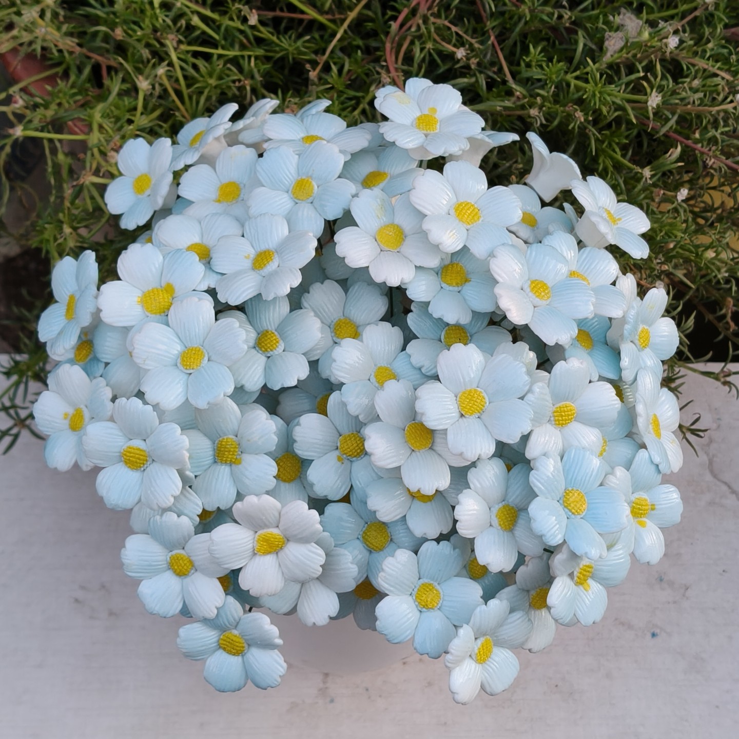 EC6C435E3E9459E84F5E6237117B27