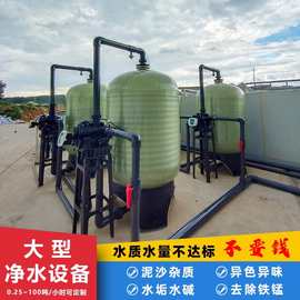 工业软水机器大型地下井水过滤锅炉除水垢全自动商用