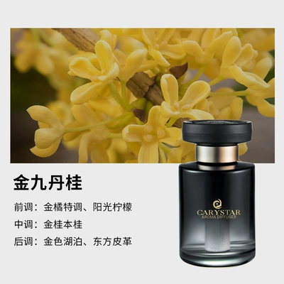 Car Scent Decoration, Odor | Car Perfume Aromatherapy - gradient-black-golden-kowloon-dangui