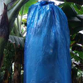 香蕉果套袋农业种植保温防寒袋防虫袋珍珠棉胶袋套香蕉的大袋