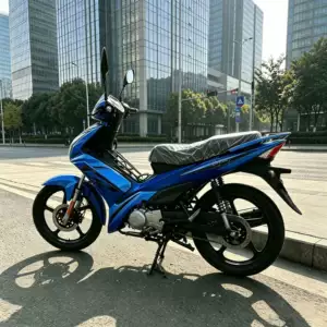 Mavi yanacaqlı sərnişin motosikleti, sabit keyfiyyət, möhkəm gövdə, aşınmaya davamlı