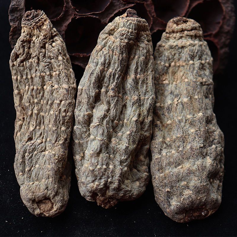 Premium Yunnan Xiaocaoba Black Gastrodia Root 250g Dried Tian Ma for Traditional Herbal Soups specifications