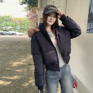 蓝色大毛领连帽羽绒棉服女短款2025年冬季韩版收腰棉衣小个子外套