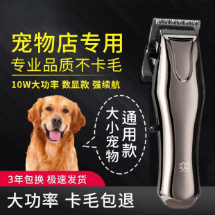 ���I������ë��������Ƽ���ë����Ȯ��������ӌ������؈��