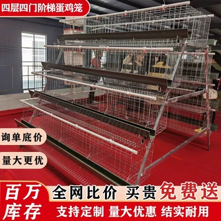 A型蛋鸡笼阶梯型三层四门蛋鸡笼养殖工厂大鸡笼热镀锌阶梯式蛋鸡