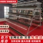 养殖三层a型四门蛋鸡笼