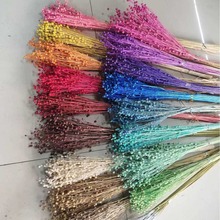 ����˼�� ��С�ǹ� ���F�� ���� ��ϸɻ� �b� �S�����l