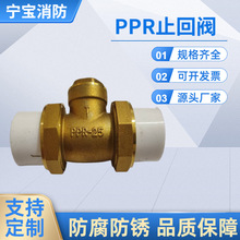 黄铜卧式PPR止回阀批发 立式热熔双活接铜单向阀自来水管道防逆流