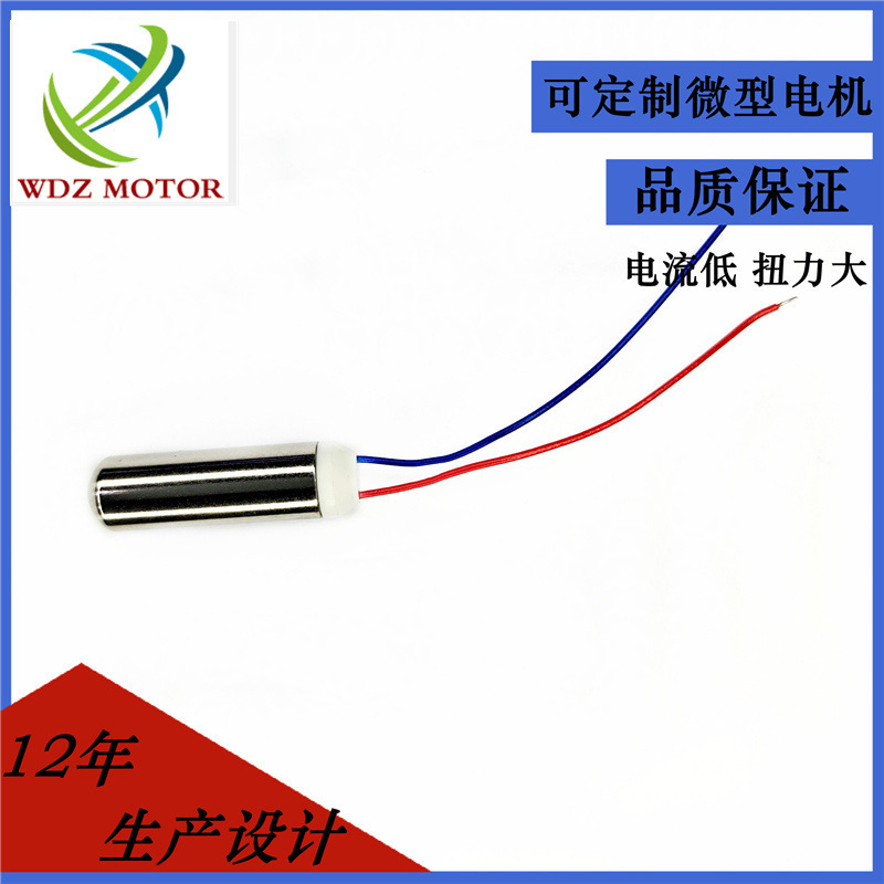 0612 Electric Toothbrush with Housing, Internal Shock Hollow Cup Motor, Vibrating Egg Micro Motor, Low Noise