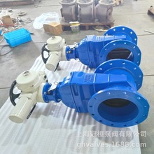 ly 늄ܛܷⷨmly Z945X-10Q DN600