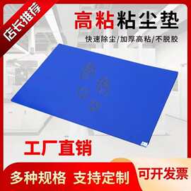粘尘垫可撕鞋底除尘地垫风淋室无尘车间家用门口脚踏黏灰蓝色脚垫