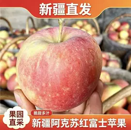 红枣干;葡萄干;其他水果