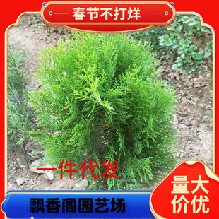 һ�����l����ؘ��� �辰�ز� ��������ɰ���ľ����ͥԺ�G���ͺ�