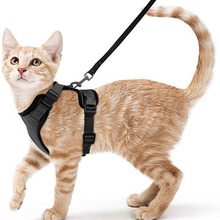 宠物用品猫猫透气胸背带反光防挣脱遛猫绳猫牵引绳小型狗狗胸背带