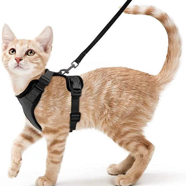 Pet supplies cat breathable harness reflective anti-breakaway cat walking rope cat traction rope small dog harness