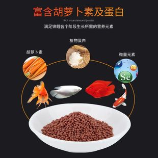 ͨ�����~ʳС�w���\����ؔ��ϼ��B�^�p���~�r�t����ɫ�~�Z����ˮ